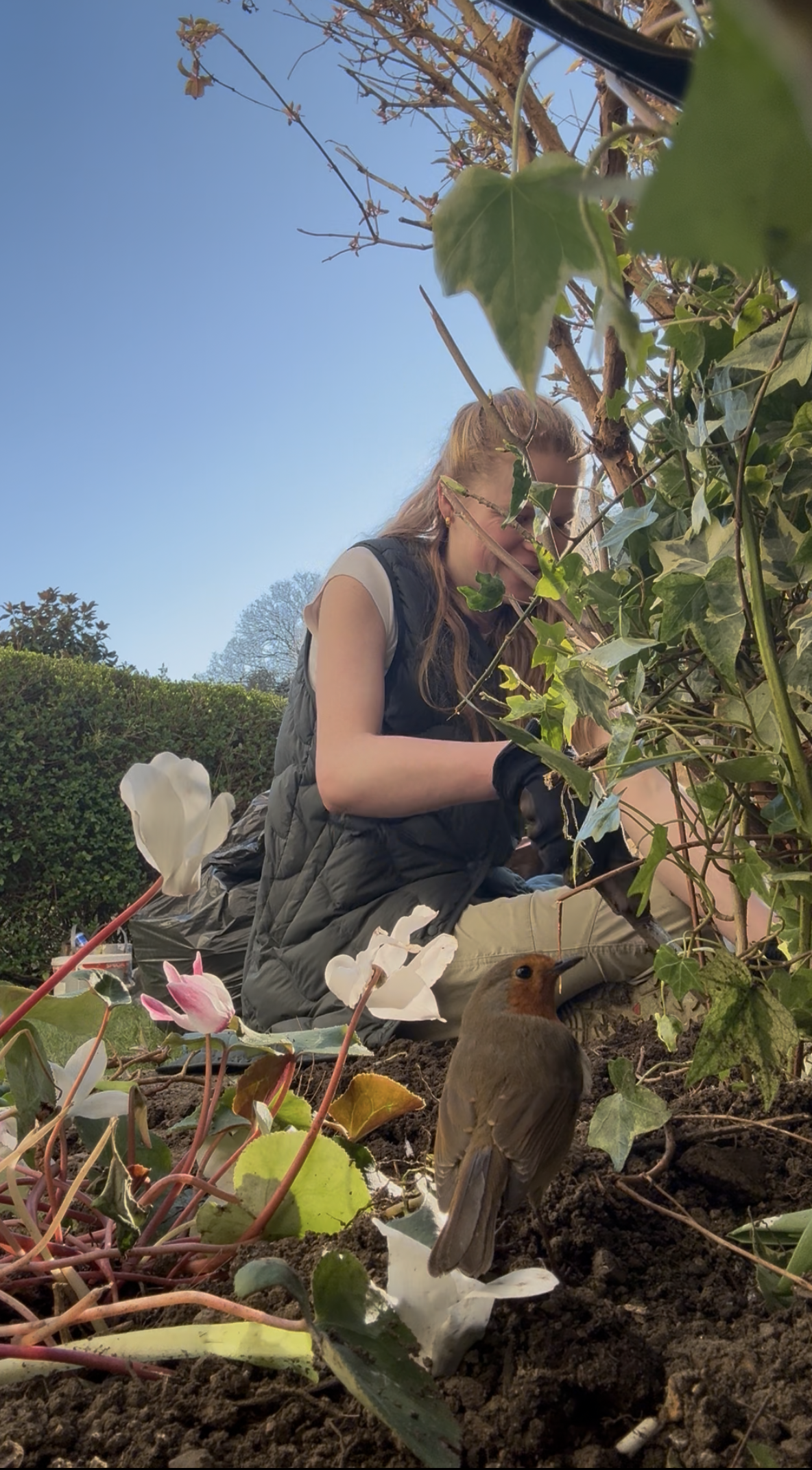 Gardening in early spring
